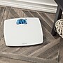 Taylor Precision Products TAP752840133 Digital Scale, White, 440lbs. Capacity~#|#~sp223034995_sc7