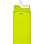 JAM Paper Self Seal #5 1/2 Coin Envelopes, 3 1/8" x 5 1/2", Green, 250/Pack (512CO-L22-250)~#|#~sp223540216_sc7
