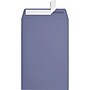 JAM Paper 6 x 9 Open End Envelopes ,Wisteria , 50 Pack, Purple (LUX-1644-106-50)~#|#~sp223744118_sc7