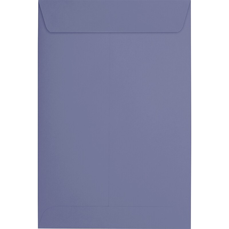 JAM Paper Open End Envelopes, 6 x 9, Wisteria Purple, 250 Pack (1644-106-250) image 1