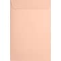 JAM Paper 6 x 9 Open End Envelopes, Peel & Press, Blush Pink, 50 Pack (1644-114-50)~#|#~sp223744145_sc7