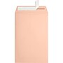 JAM Paper 6 x 9 Open End Envelopes, Peel & Press, Blush Pink, 50 Pack (1644-114-50)~#|#~sp223744146_sc7