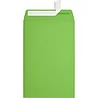 JAM Paper 6 x 9 Open End Envelopes, Limelight Green, 250 Pack (1644-101-250)~#|#~sp223744766_sc7
