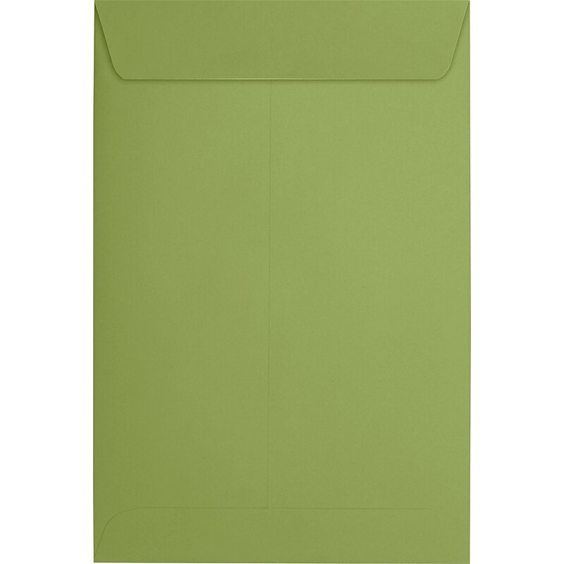 JAM Paper 6 x 9 Open End Envelopes, Avocado, 250/Pack (EX1644-27-250) image 1