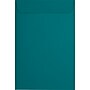 JAM Paper 6 x 9 Open End Envelopes, Teal Blue, 250/Pack (EX1644-25-250)~#|#~sp223744777_sc7