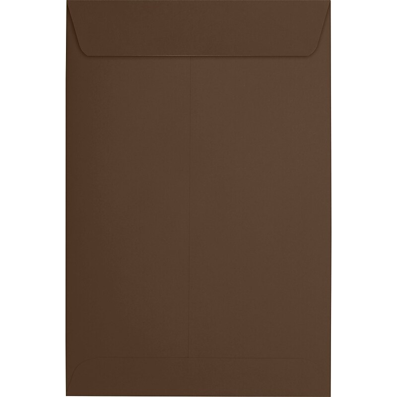 JAM Paper 6 x 9 Open End Envelopes ,Chocolate , 50 Pack, Brown (EX1644-17-50) image 1
