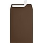 JAM Paper 6 x 9 Open End Envelopes ,Chocolate , 50 Pack, Brown (EX1644-17-50)~#|#~sp223744784_sc7