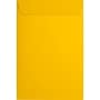 JAM Paper 6 x 9 Open End Envelopes, Sunflower, 250/Pack (EX1644-12-250)~#|#~sp223744785_sc7