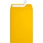 JAM Paper 6 x 9 Open End Envelopes, Sunflower, 250/Pack (EX1644-12-250)~#|#~sp223744786_sc7