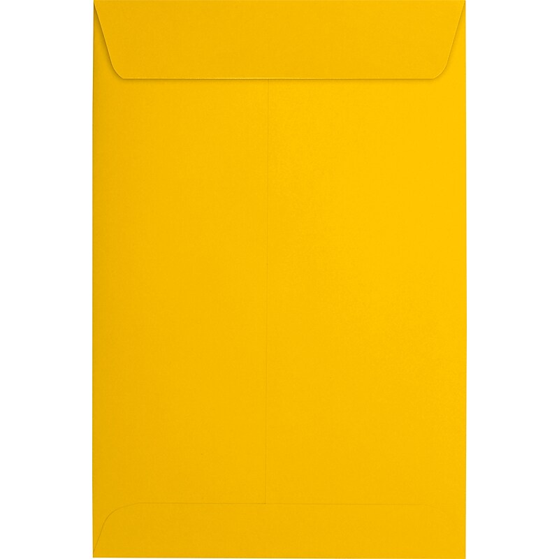 JAM Paper 6 x 9 Open End Envelopes, Sunflower, 500/Pack (EX1644-12-500) image 1