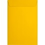 JAM Paper 6 x 9 Open End Envelopes, Sunflower, 500/Pack (EX1644-12-500)~#|#~sp223744791_sc7