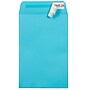 JAM Paper 6 x 9 Open End Envelopes ,Pool , 50 Pack, Blue (LUX-1644-102-50)~#|#~sp223744801_sc7