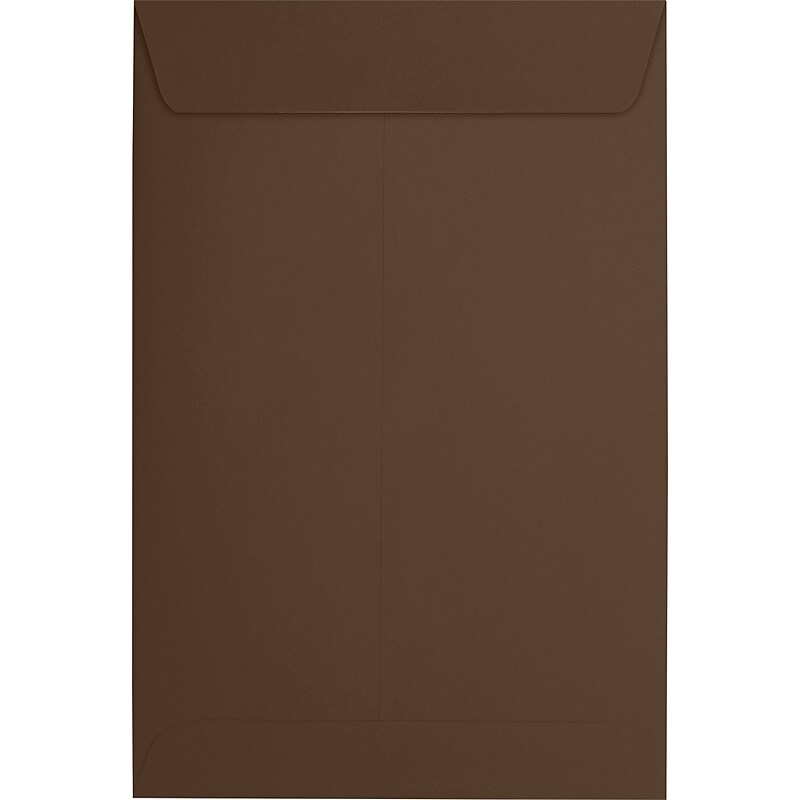 JAM Paper 6 x 9 Open End Envelopes, Chocolate, 500/Pack (EX1644-17-500) image 1