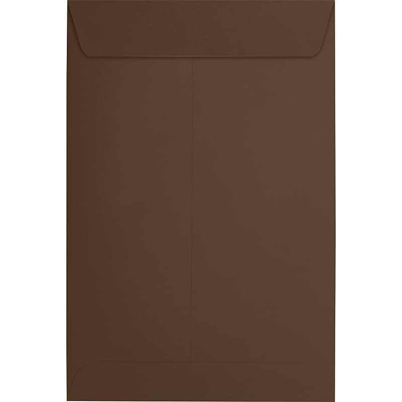 JAM Paper 6 x 9 Open End Envelopes, Chocolate Brown, 250/Pack (EX1644-17-250) image 1