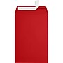 JAM Paper 6 x 9 Open End Envelopes ,Ruby Red , 50 Pack, Red (EX1644-18-50)~#|#~sp223744822_sc7