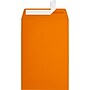 JAM Paper 6 x 9 Open End Envelopes, Peel & Press, Mandarin Orange, 500/Pack (EX1644-11-500)~#|#~sp223744824_sc7