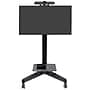 Ergotron Neo-Flex Mobile Display Stand, Black (24-191-085)~#|#~sp225012756_sc7