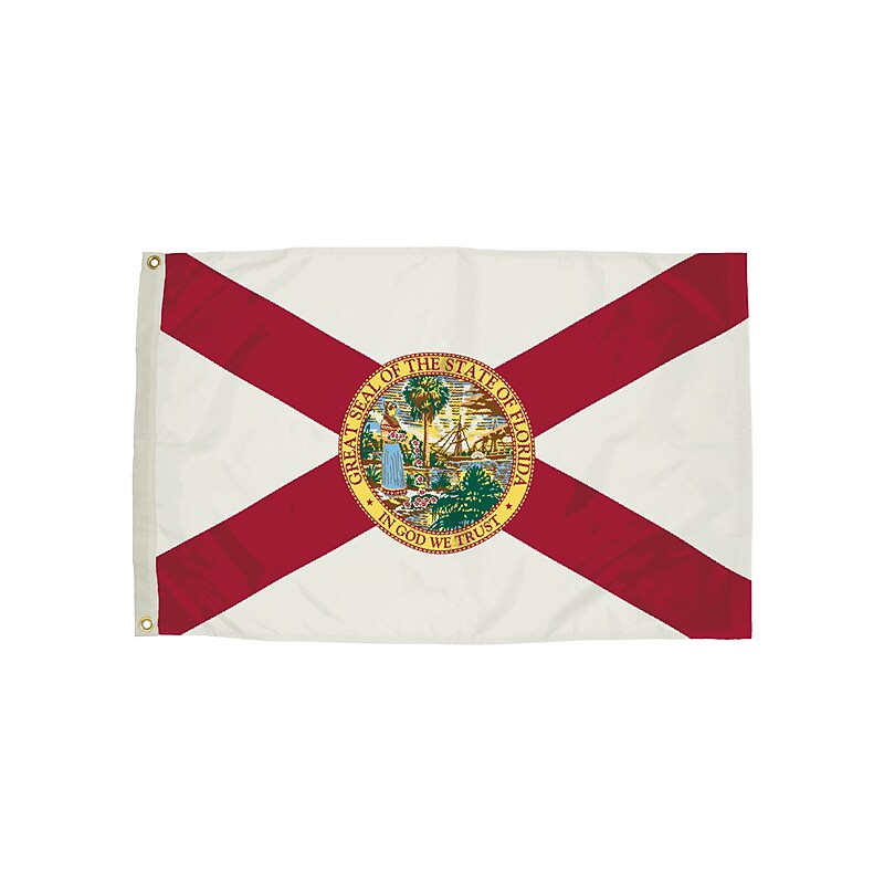 Independence Flag Nylon Florida Flag with Heading and Grommets, 3x5 ft (FZ-2082051) image 1