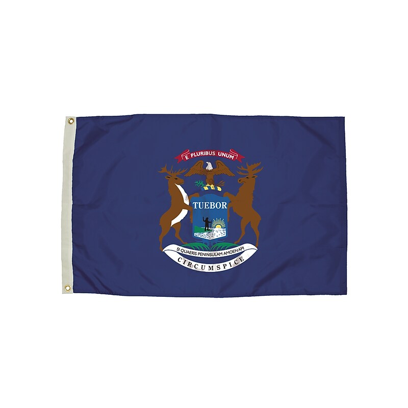 Independence Flag Nylon Michigan Flag with Heading and Grommets, 3x5 ft (FZ-2212051) image 1