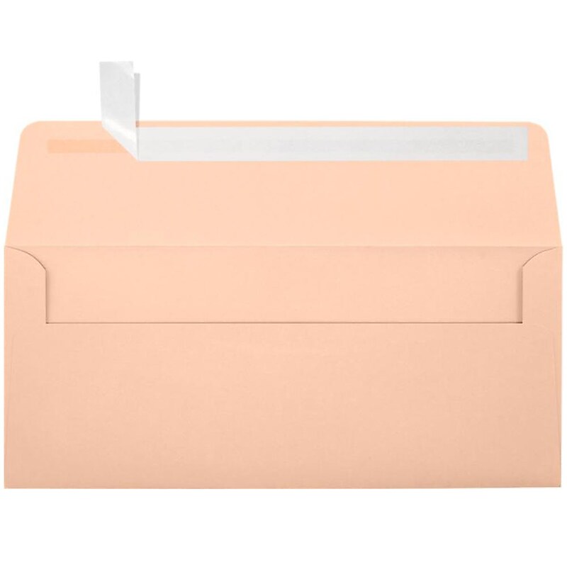 JAM Paper Self Seal Business Envelope, 4 1/8 x 9 1/2, Blush Pink, 500 Pack (4860-114-500) image 1