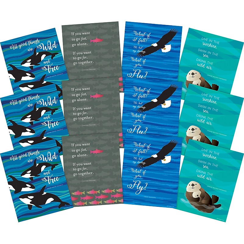 Barker Creek What if You Fly Posters, 12/Set (4197) image 1