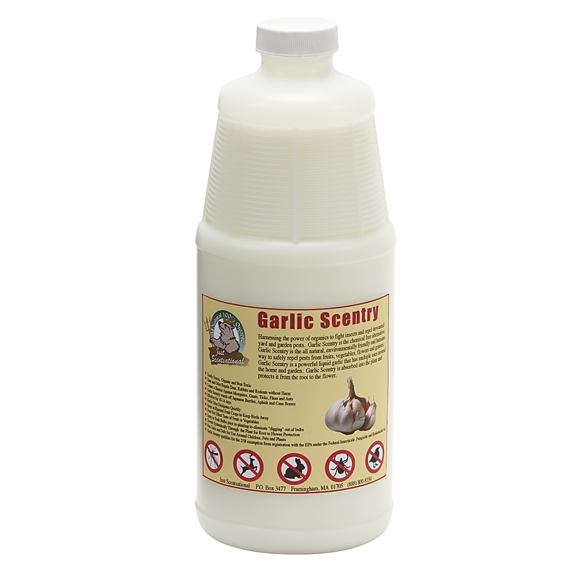 Just Scentsational by Bare Ground Garlic Scentry Repellent for Multiple Pests, Garlic Scent, 32 oz. (GAR-32) image 1