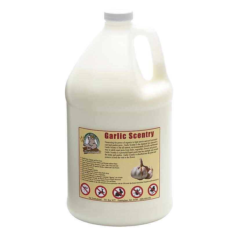 Just Scentsational by Bare Ground Garlic Scentry Repellent for Multiple Pests, Concentrate, Garlic Scent, 1 gal. (GCS-128) image 1