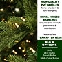 Fraser Hill Farm 7.5 ft. Woodside Pine Pre-Lit Artificial Christmas Tree, 900 Lights (FFWS075-6GREZ)	~#|#~sp227529904_sc7