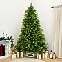 Fraser Hill Farm 8 ft. Wintergreen Fir Pre-Lit Artificial Christmas Tree, 1050 Lights (FFWG080-5GR)	~#|#~sp227529915_sc7