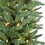 Fraser Hill Farm 7.5 ft. Winter Falls Slim-Silhouette Pre-Lit Artificial Christmas Tree, 600 Lights (FFWF075-5GR)	~#|#~sp227529936_sc7