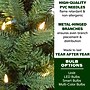 Fraser Hill Farm 7.5 ft. Winter Falls Slim-Silhouette Pre-Lit Artificial Christmas Tree, 600 Lights (FFWF075-5GR)	~#|#~sp227529944_sc7