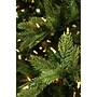 Fraser Hill Farm 9 ft. Woodside Pine Pre-Lit Artificial Christmas Tree, 1250 Lights (FFWS090-3GR)	~#|#~sp227529983_sc7