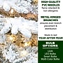 Fraser Hill Farm 10 ft. Flocked Pine Valley Pre-Lit Artificial Christmas Tree, 100 Lights (FFPV010-3SN)	~#|#~sp227531957_sc7