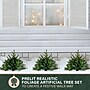Fraser Hill Farm Prelit 18" Artificial Sidewalk Trees, 3/Set (FFPTI018-5GR)~#|#~sp227531967_sc7