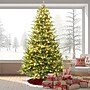 Fraser Hill Farm 7.5 ft. Oregon Pine Pre-Lit Artificial Christmas Tree, 700 Lights (FFOP075-5GR)	~#|#~sp227532022_sc7
