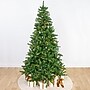 Fraser Hill Farm 7.5 ft. Noel Pine Pre-Lit Artificial Christmas Tree, 400 Lights (FFNL075-6GR)	~#|#~sp227532028_sc7