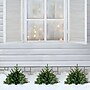 Fraser Hill Farm Prelit 18" Artificial Sidewalk Trees, 3/Set (FFPTI018-5GR)~#|#~sp227532057_sc7
