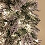 Fraser Hill Farm 6.5 ft. Slim Mountain Pine Flocked Pre-Lit Artificial Christmas Tree, 450 Lights (FFMPS065-5SN)	~#|#~sp227532236_sc7