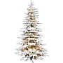 Fraser Hill Farm 10 ft. Flocked Mountain Pine Pre-Lit Artificial Christmas Tree, 1100 Lights (FFMP010-5SN)	~#|#~sp227532433_sc7