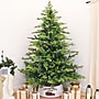 Fraser Hill Farm 7.5 ft. Foxtail Pine Pre-Lit Artificial Christmas Tree, 1250 Lights (FFFX075-6MGR)	~#|#~sp227532869_sc7