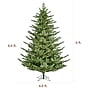 Fraser Hill Farm 9 ft. Foxtail Pine Pre-Lit Artificial Christmas Tree, 1750 Lights (FFFX090-5MGR)	~#|#~sp227532879_sc7