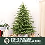 Fraser Hill Farm 7.5 ft. Foxtail Pine Pre-Lit Artificial Christmas Tree, 1250 Lights (FFFX075-5MGR)	~#|#~sp227532898_sc7