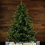 Fraser Hill Farm 10 ft. Foxtail Pine Artificial Christmas Tree (FFFX010-0GR)	~#|#~sp227532923_sc7