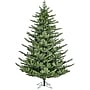 Fraser Hill Farm 7.5 ft. Foxtail Pine Pre-Lit Artificial Christmas Tree, 1250 Lights (FFFX075-6MGR)	~#|#~sp227533030_sc7
