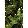 Fraser Hill Farm 6.5 ft. Foxtail Pine Pre-Lit Artificial Christmas Tree, 550 Lights (FFFX065-5GR)	~#|#~sp227533037_sc7