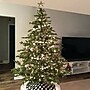 Fraser Hill Farm 6.5 ft. Foxtail Pine Pre-Lit Artificial Christmas Tree, 550 Lights (FFFX065-5GR)	~#|#~sp227533038_sc7