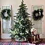 Fraser Hill Farm 10 ft. Foxtail Pine Pre-Lit Artificial Christmas Tree, 1700 Lights (FFFX010-5GR)	~#|#~sp227533044_sc7