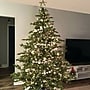 Fraser Hill Farm 10 ft. Foxtail Pine Pre-Lit Artificial Christmas Tree, 1700 Lights (FFFX010-5GR)	~#|#~sp227533045_sc7