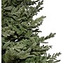 Fraser Hill Farm 10 ft. Foxtail Pine Artificial Christmas Tree (FFFX010-0GR)	~#|#~sp227533049_sc7