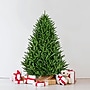 Fraser Hill Farm 7.5 ft. Centerville Pine Pre-Lit Artificial Christmas Tree, 1150 Lights (FFCV075-5MGR)	~#|#~sp227533076_sc7
